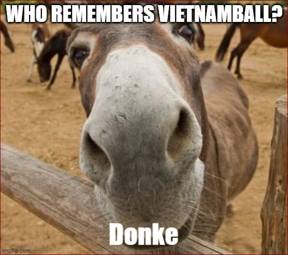 donke | WHO REMEMBERS VIETNAMBALL? | image tagged in donke | made w/ Imgflip meme maker