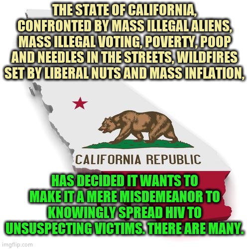 Because california | THE STATE OF CALIFORNIA, CONFRONTED BY MASS ILLEGAL ALIENS, MASS ILLEGAL VOTING, POVERTY, POOP AND NEEDLES IN THE STREETS, WILDFIRES SET BY LIBERAL NUTS AND MASS INFLATION, HAS DECIDED IT WANTS TO MAKE IT A MERE MISDEMEANOR TO KNOWINGLY SPREAD HIV TO UNSUSPECTING VICTIMS. THERE ARE MANY. | image tagged in california,nasty,sick,hate,children | made w/ Imgflip meme maker