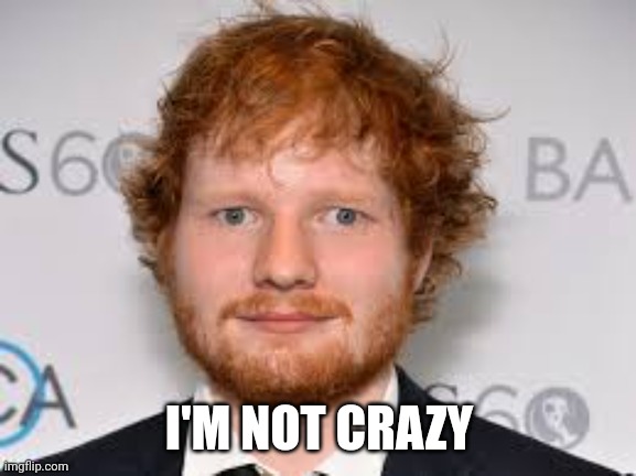 Derpy Ed Sheeran | I'M NOT CRAZY | image tagged in derpy ed sheeran | made w/ Imgflip meme maker