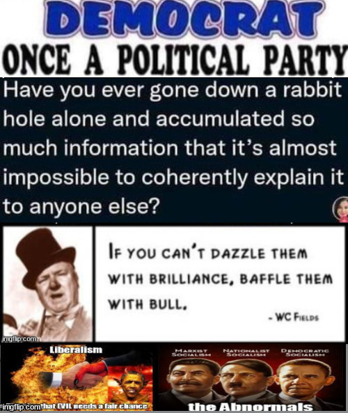 Democrat, Once a POLITICAL Party... | image tagged in democrat party,woke,biden,evil,communism | made w/ Imgflip meme maker