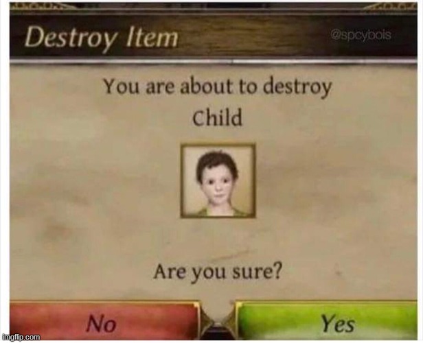 You are about to destroy Child | image tagged in you are about to destroy child | made w/ Imgflip meme maker