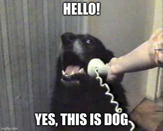 hello this is dog | HELLO! YES, THIS IS DOG | image tagged in hello this is dog | made w/ Imgflip meme maker