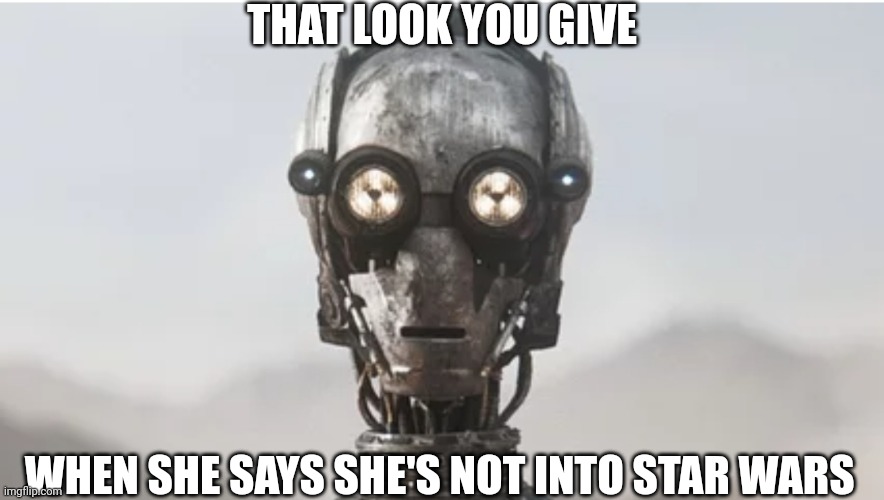 Nooooooo | THAT LOOK YOU GIVE; WHEN SHE SAYS SHE'S NOT INTO STAR WARS | image tagged in fun | made w/ Imgflip meme maker