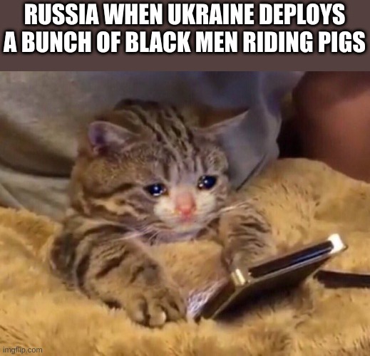 Sad cat watching video | RUSSIA WHEN UKRAINE DEPLOYS A BUNCH OF BLACK MEN RIDING PIGS | image tagged in sad cat watching video | made w/ Imgflip meme maker