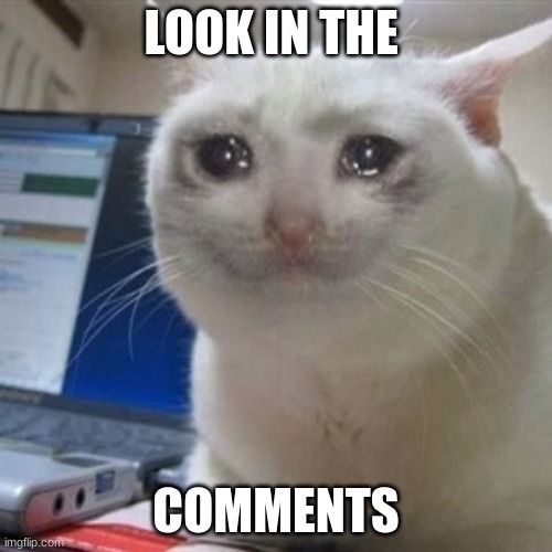 This is so sad | LOOK IN THE; COMMENTS | image tagged in crying cat | made w/ Imgflip meme maker