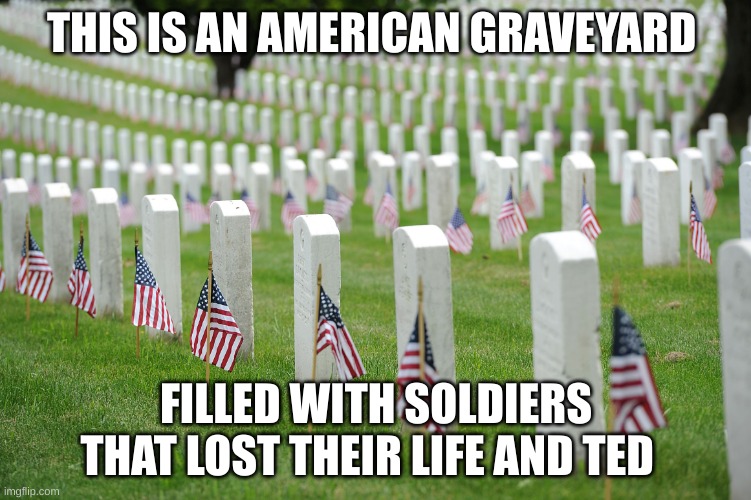 People died for our freedom and Ted | THIS IS AN AMERICAN GRAVEYARD; FILLED WITH SOLDIERS THAT LOST THEIR LIFE AND TED | image tagged in arlington | made w/ Imgflip meme maker