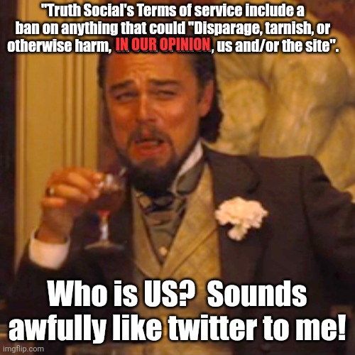 Lemmings clambering to get their voice in the echo chamber!! | "Truth Social's Terms of service include a ban on anything that could "Disparage, tarnish, or otherwise harm,  IN OUR OPINION, us and/or the site". IN OUR OPINION; Who is US?  Sounds awfully like twitter to me! | image tagged in memes,laughing leo | made w/ Imgflip meme maker