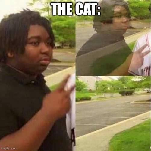 disappearing  | THE CAT: | image tagged in disappearing | made w/ Imgflip meme maker