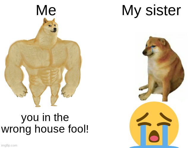 Buff Doge vs. Cheems | Me; My sister; you in the wrong house fool! | image tagged in memes,buff doge vs cheems | made w/ Imgflip meme maker