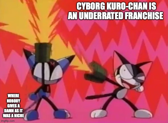 Cyborg Kuro-Chan | CYBORG KURO-CHAN IS AN UNDERRATED FRANCHISE; WHERE NOBODY GIVES A DAMN AS IT WAS A NICHE | image tagged in cats,cyborg,memes | made w/ Imgflip meme maker
