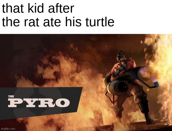 that kid after the rat ate his turtle | image tagged in the pyro - tf2 | made w/ Imgflip meme maker