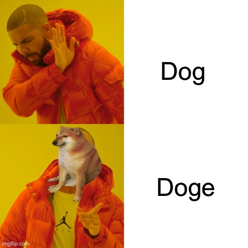 Doge | Dog; Doge | image tagged in memes,drake hotline bling,doge,funny | made w/ Imgflip meme maker