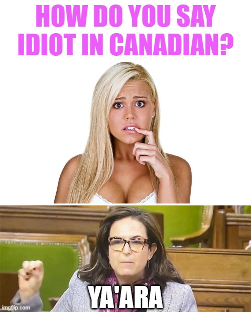...and you thought American liberals were stupid. | HOW DO YOU SAY IDIOT IN CANADIAN? YA'ARA | image tagged in ya'ara saks,honk honk,heil hitler,memes,canada | made w/ Imgflip meme maker