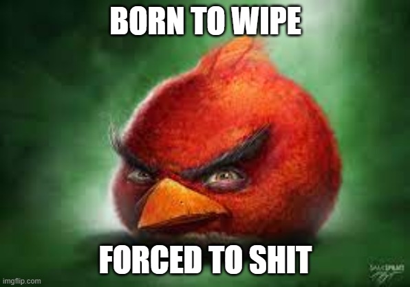 Realistic Red Angry Birds | BORN TO WIPE; FORCED TO SHIT | image tagged in realistic red angry birds | made w/ Imgflip meme maker