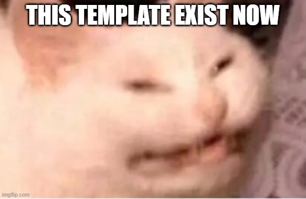 e w | THIS TEMPLATE EXIST NOW | image tagged in e w,memes,funny,not funny,msmg | made w/ Imgflip meme maker