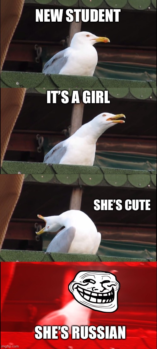 Inhaling Seagull Meme | NEW STUDENT; IT’S A GIRL; SHE’S CUTE; SHE’S RUSSIAN | image tagged in memes,inhaling seagull | made w/ Imgflip meme maker
