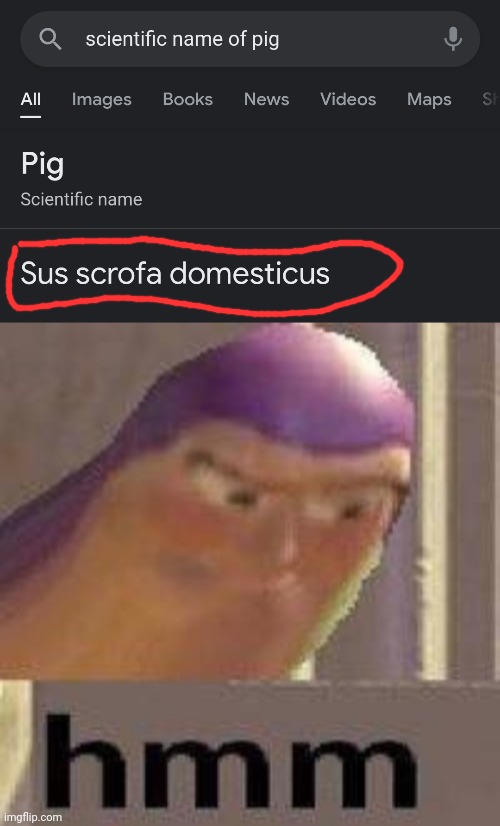 Sus | image tagged in hmmmm | made w/ Imgflip meme maker