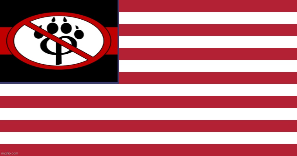 new flag | image tagged in flag of usa | made w/ Imgflip meme maker