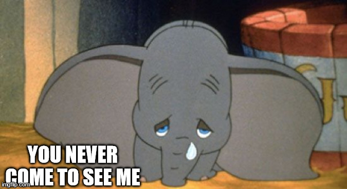Sad Dumbo | YOU NEVER
COME TO SEE ME | image tagged in sad dumbo | made w/ Imgflip meme maker