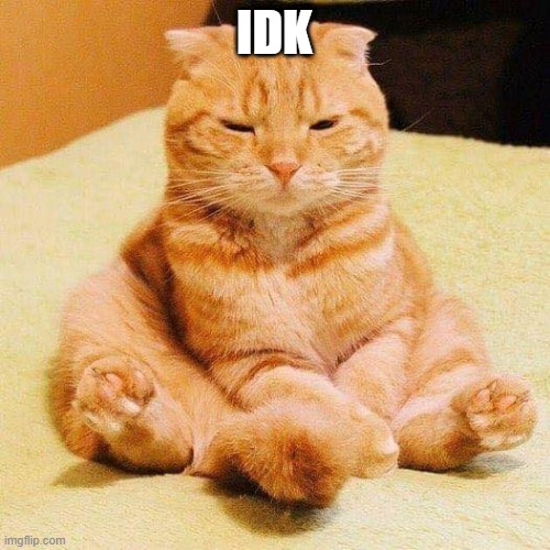 chonky cat | IDK | image tagged in chonky cat | made w/ Imgflip meme maker