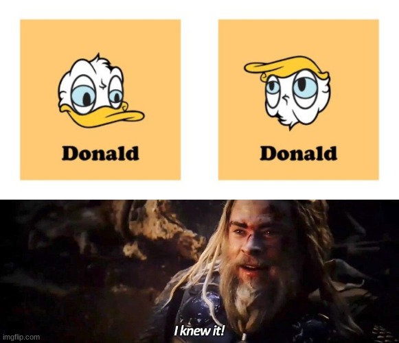 image tagged in donald trump,donald trump approves,duck,thor,politics,presidential alert | made w/ Imgflip meme maker