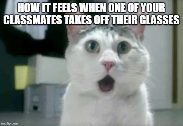 OMG Cat |  HOW IT FEELS WHEN ONE OF YOUR CLASSMATES TAKES OFF THEIR GLASSES | image tagged in memes,omg cat | made w/ Imgflip meme maker