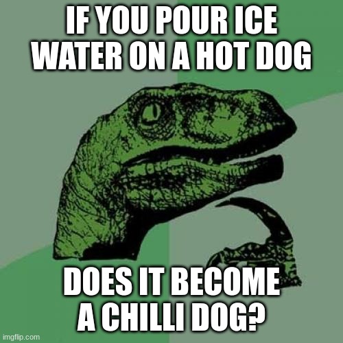 Yum | IF YOU POUR ICE WATER ON A HOT DOG; DOES IT BECOME A CHILLI DOG? | image tagged in memes,philosoraptor | made w/ Imgflip meme maker