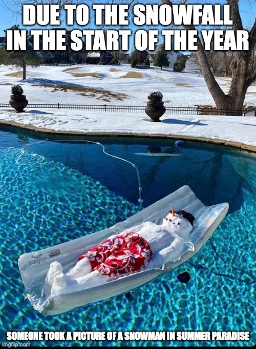 Snowman in Summer Paradise | DUE TO THE SNOWFALL IN THE START OF THE YEAR; SOMEONE TOOK A PICTURE OF A SNOWMAN IN SUMMER PARADISE | image tagged in winter,memes | made w/ Imgflip meme maker