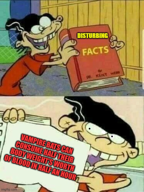 Why am I bleeding ? | DISTURBING; VAMPIRE BATS CAN CONSUME HALF THEIR BODY WEIGHT’S WORTH OF BLOOD IN HALF AN HOUR | image tagged in double d facts book | made w/ Imgflip meme maker