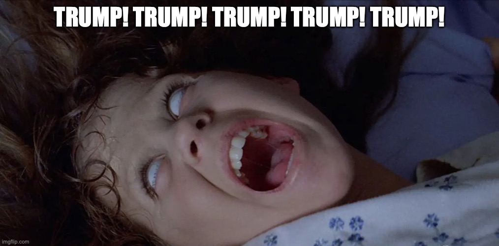 Trump! | TRUMP! TRUMP! TRUMP! TRUMP! TRUMP! | image tagged in donald trump,tds | made w/ Imgflip meme maker