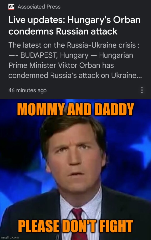 MOMMY AND DADDY; PLEASE DON'T FIGHT | image tagged in confused tucker carlson,hungary,vladimir putin,ukrainian lives matter,who's your daddy,mommy dearest | made w/ Imgflip meme maker