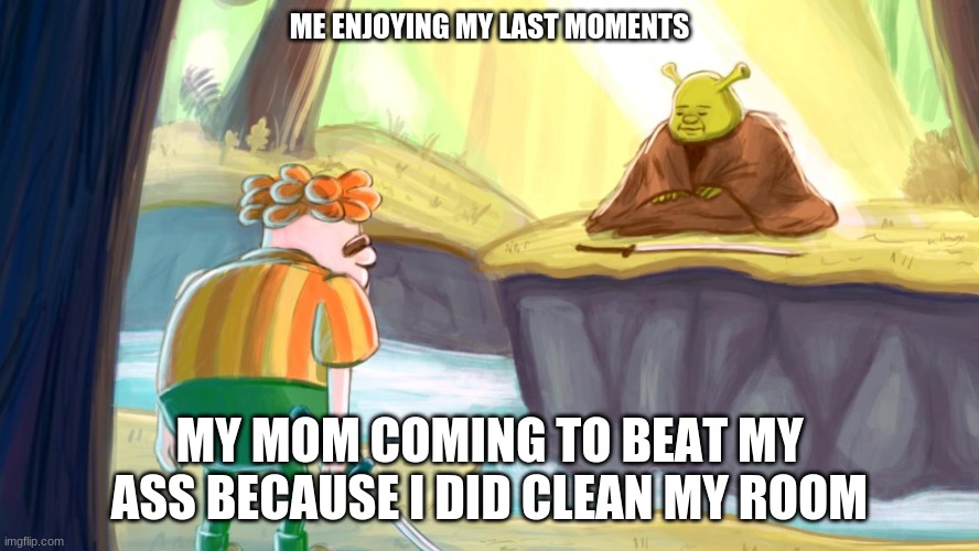 carl wheezer and shrek | ME ENJOYING MY LAST MOMENTS; MY MOM COMING TO BEAT MY ASS BECAUSE I DID CLEAN MY ROOM | image tagged in carl wheezer and shrek,memes | made w/ Imgflip meme maker