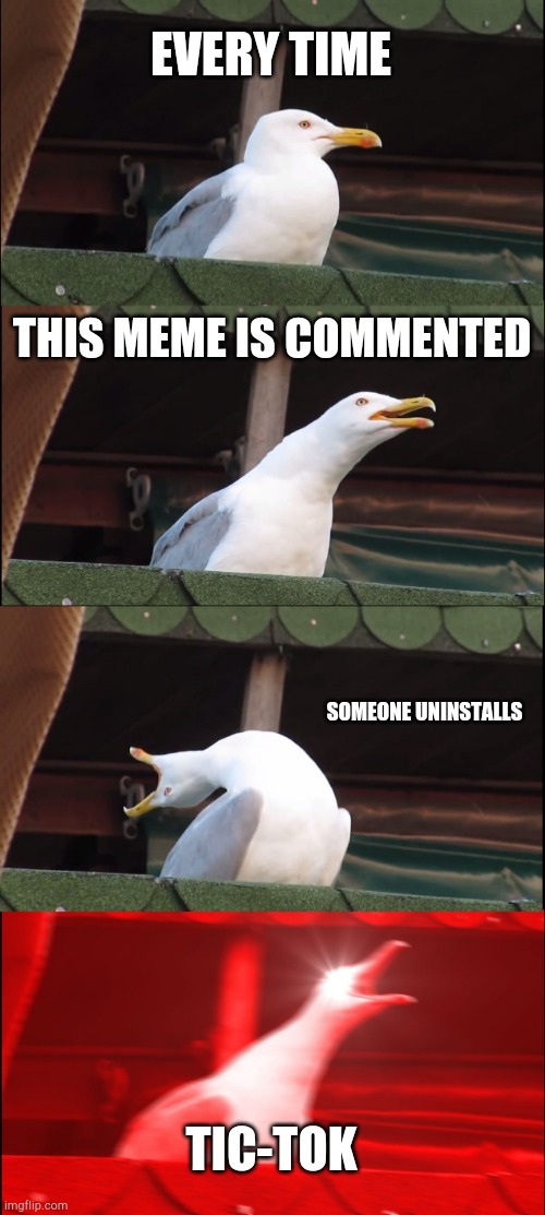DO IT | EVERY TIME; THIS MEME IS COMMENTED; SOMEONE UNINSTALLS; TIC-TOK | image tagged in memes,inhaling seagull | made w/ Imgflip meme maker