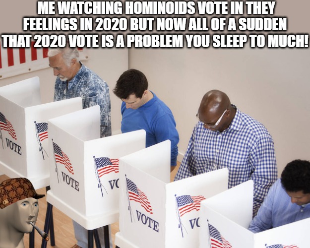 ALL RIGGED | ME WATCHING HOMINOIDS VOTE IN THEY FEELINGS IN 2020 BUT NOW ALL OF A SUDDEN THAT 2020 VOTE IS A PROBLEM YOU SLEEP TO MUCH! | image tagged in voting booth | made w/ Imgflip meme maker