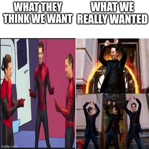 what they think we want | WHAT WE REALLY WANTED; WHAT THEY THINK WE WANT | image tagged in spiderman pointing at spiderman | made w/ Imgflip meme maker