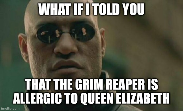 Matrix Morpheus | WHAT IF I TOLD YOU; THAT THE GRIM REAPER IS ALLERGIC TO QUEEN ELIZABETH | image tagged in memes,matrix morpheus | made w/ Imgflip meme maker