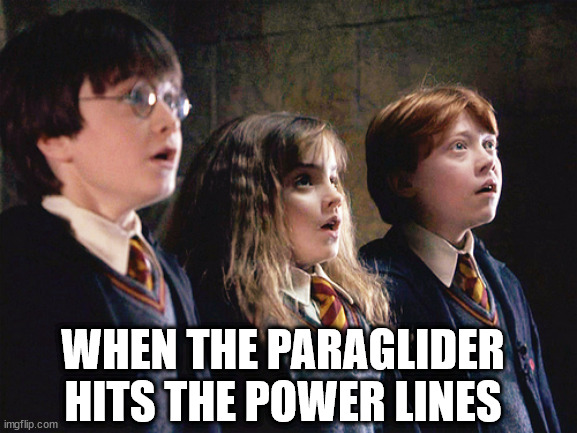 Hermione | WHEN THE PARAGLIDER HITS THE POWER LINES | image tagged in hermione | made w/ Imgflip meme maker