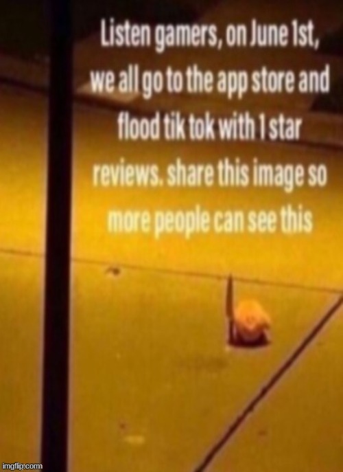 k | image tagged in funny | made w/ Imgflip meme maker