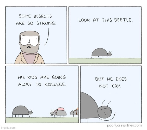 strong | image tagged in comics/cartoons,strong,insects,beetle | made w/ Imgflip meme maker