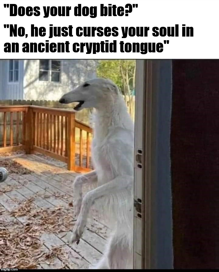 "Does your dog bite?"; "No, he just curses your soul in 
an ancient cryptid tongue" | image tagged in dogs | made w/ Imgflip meme maker