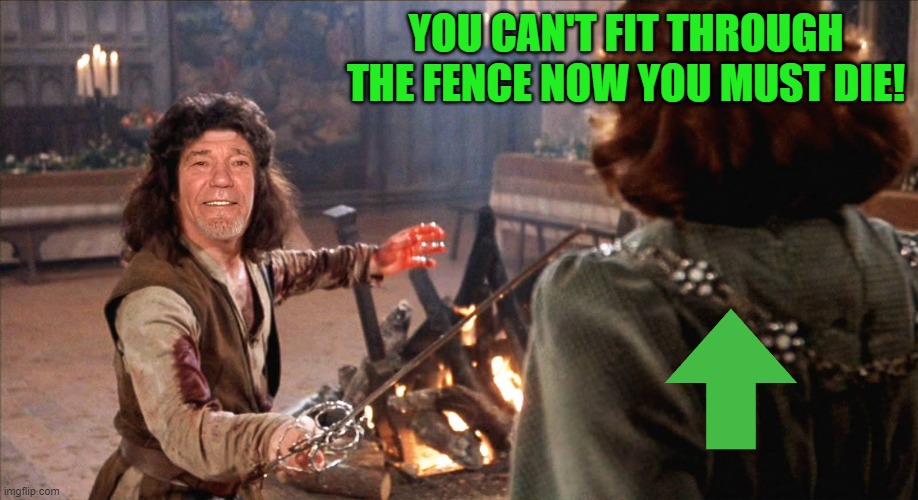 YOU CAN'T FIT THROUGH THE FENCE NOW YOU MUST DIE! | image tagged in inigkewlew montoya | made w/ Imgflip meme maker