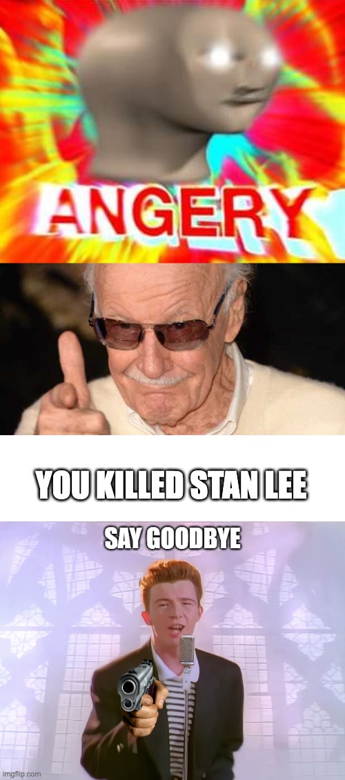 YOU KILLED STAN LEE | image tagged in surreal angery,stan lee pointing at you,memes,blank transparent square | made w/ Imgflip meme maker