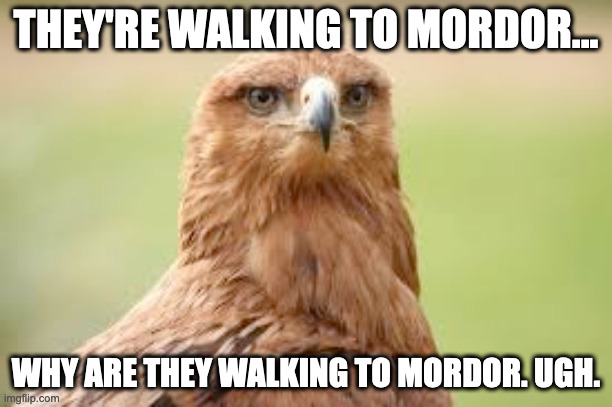 Why walk to Mordor when you can fly? | THEY'RE WALKING TO MORDOR... WHY ARE THEY WALKING TO MORDOR. UGH. | image tagged in fly to mordor,eagle | made w/ Imgflip meme maker