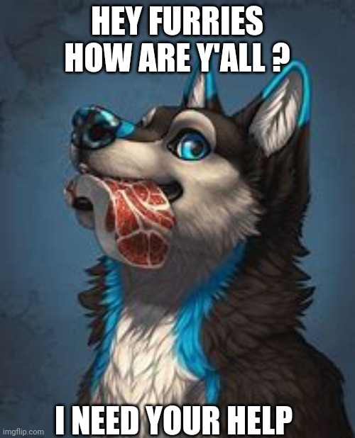 Hi guys and gals | HEY FURRIES HOW ARE Y'ALL ? I NEED YOUR HELP | image tagged in furry art | made w/ Imgflip meme maker