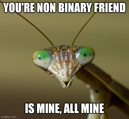 Live and let slowly be sucked dry | YOU'RE NON BINARY FRIEND IS MINE, ALL MINE | image tagged in praying mantis head,food porn,morals,courage wolf,light | made w/ Imgflip meme maker