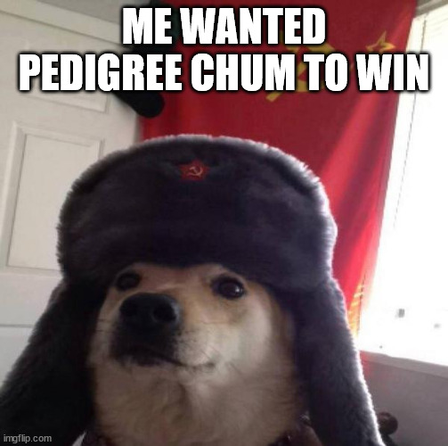 Russian Doge | ME WANTED PEDIGREE CHUM TO WIN | image tagged in russian doge | made w/ Imgflip meme maker