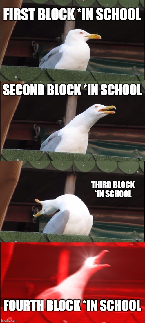 My life | FIRST BLOCK *IN SCHOOL; SECOND BLOCK *IN SCHOOL; THIRD BLOCK *IN SCHOOL; FOURTH BLOCK *IN SCHOOL | image tagged in memes,inhaling seagull | made w/ Imgflip meme maker