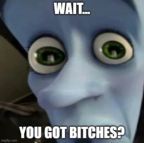 NO BITCHES AU | WAIT... YOU GOT BITCHES? | image tagged in megamind | made w/ Imgflip meme maker