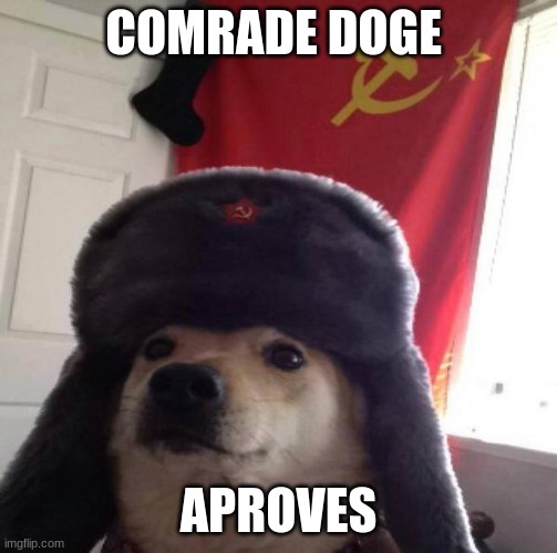 COMRADE DOGE APROVES | image tagged in russian doge | made w/ Imgflip meme maker