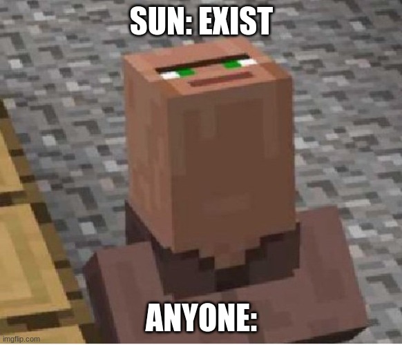 Minecraft Villager Looking Up | SUN: EXIST; ANYONE: | image tagged in minecraft villager looking up | made w/ Imgflip meme maker